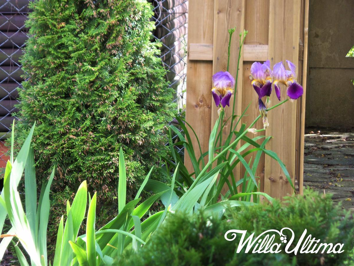 Willa Ultima Leba Exterior photo